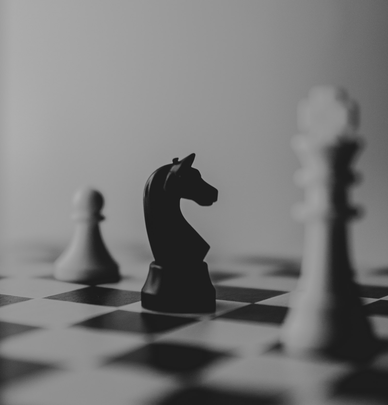 A black knight chess piece in focus among blurred pieces